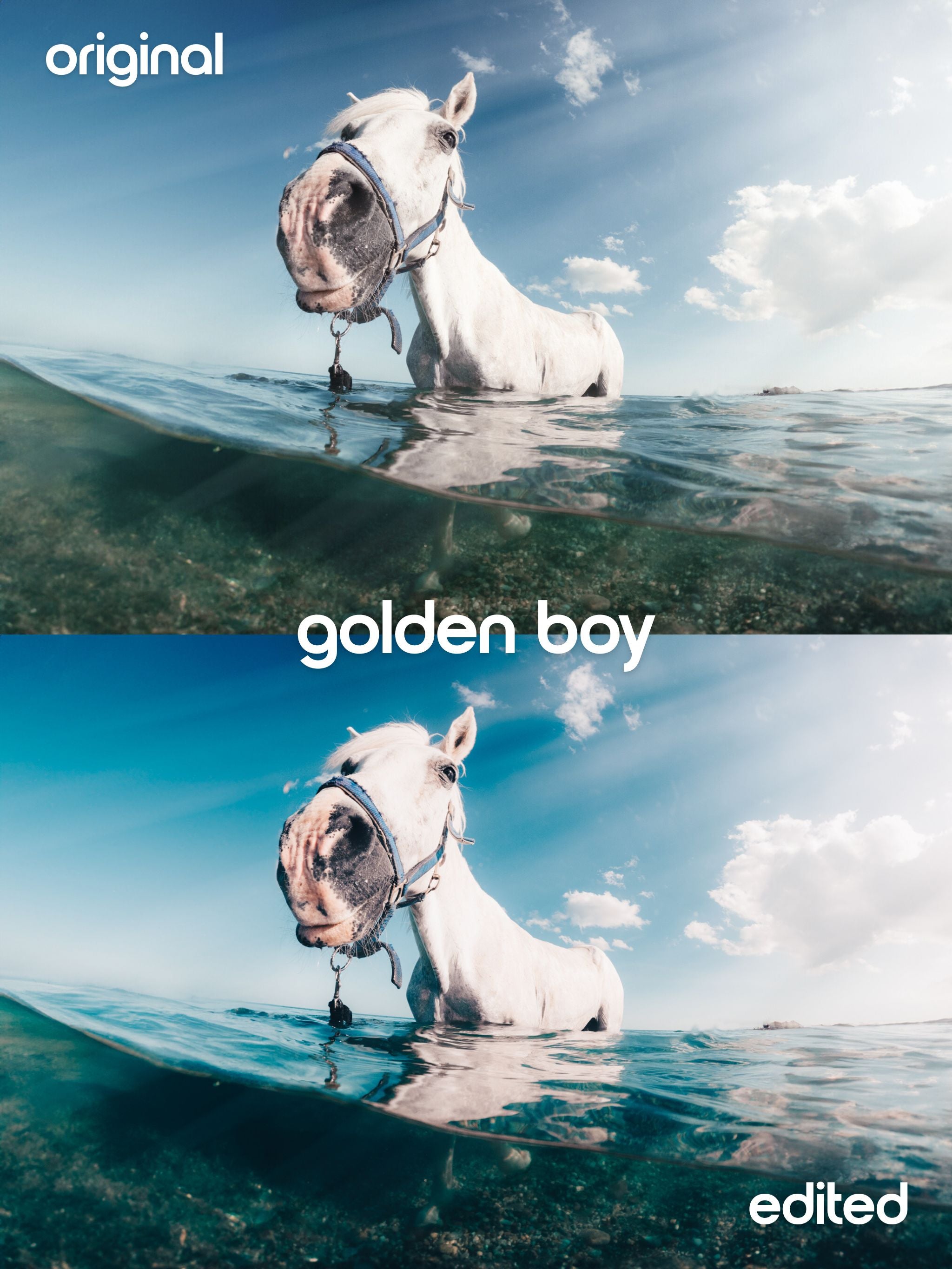 Golden Boy Photo Preset