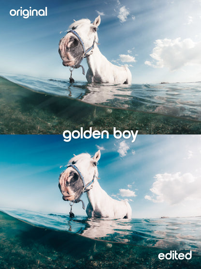 Golden Boy Photo Preset