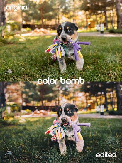 Color Bomb Photo Preset