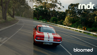 Retro Finishing LUTs